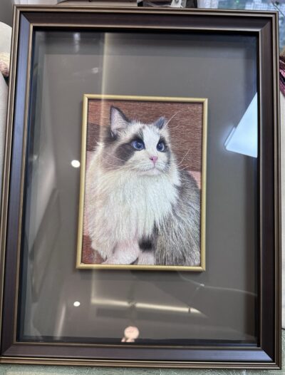 IMG_20260922_151212 8×10 Inch Custom Cat Portrait Embroidery | 100% Hand‑Stitched From Your Photo