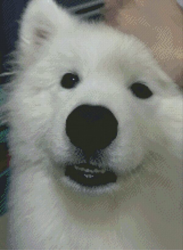 White dog close-up cross-stitch portrait White dog close-up cross-stitch portrait